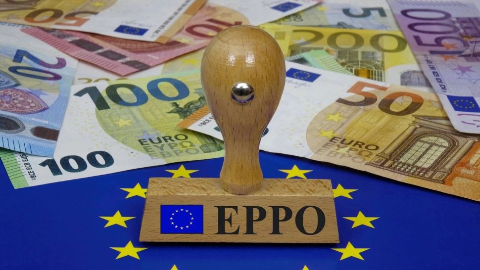 EPPO n-a oferit detalii, dar a confirmat descinderile (Profimedia)