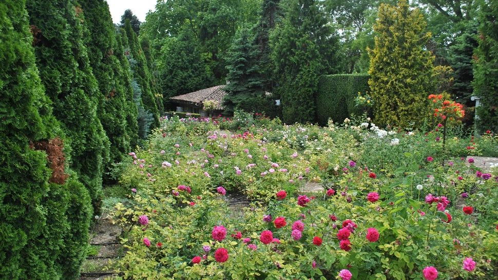 gradina