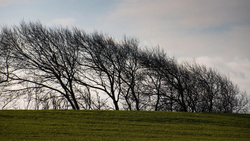 Cod galben de vânt puternic în sud-vest și în zonele montane, până marți: temperaturi mai ridicate în Capitală/ Profimedia 