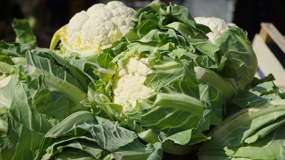 Varză sau conopidă? Care este alegerea mai bună pentru inimă și digestie
