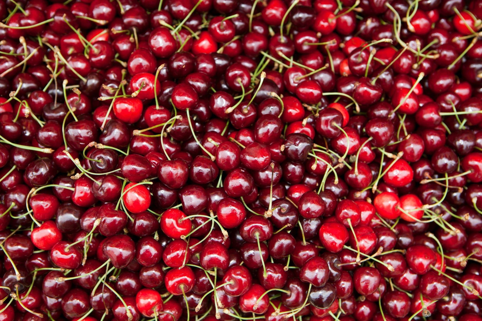 Cireșe / Profimedia 