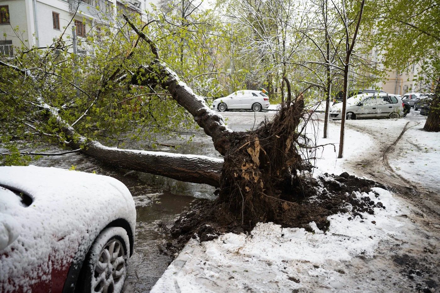 Furtună în Moscova. Foto: Profimedia