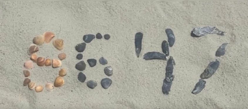 Mesaj cu subînțeles