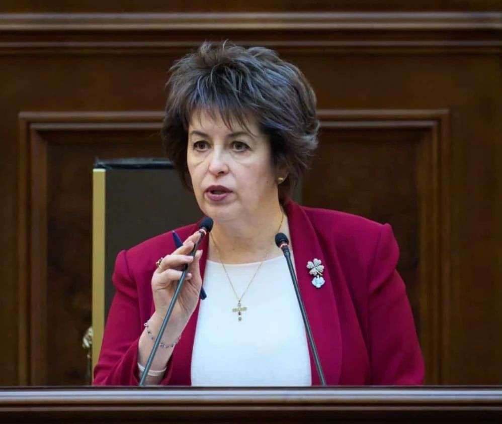 Niculina Stelea (senator AUR)