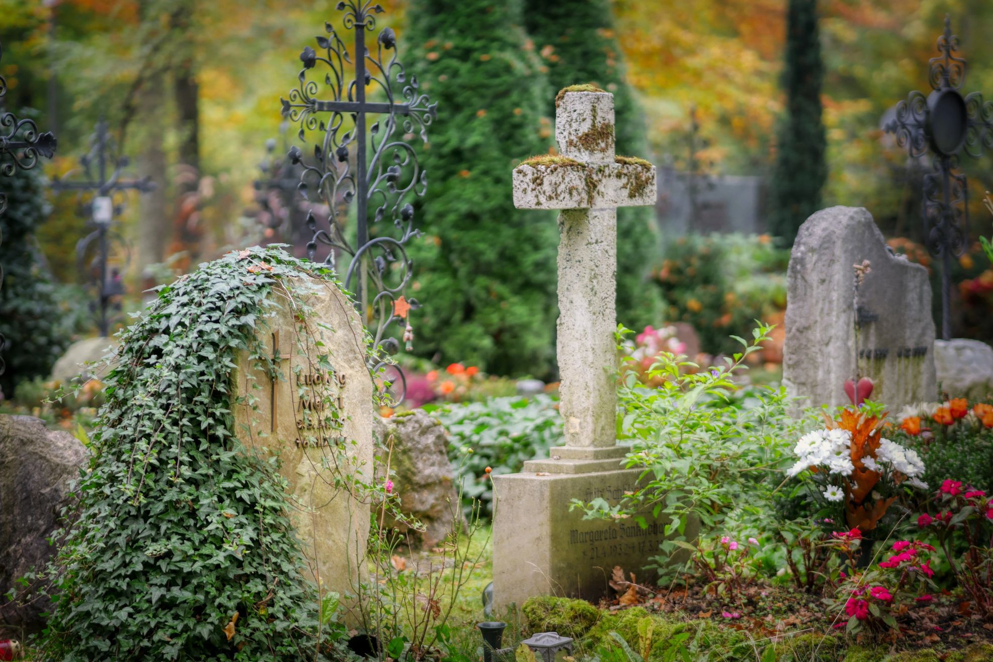 Scene șocante în cimitir