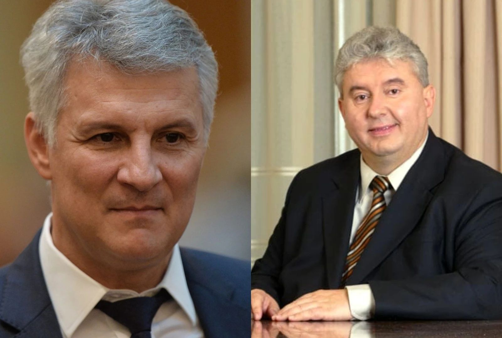 Daniel Zamfir și Viorel Micula