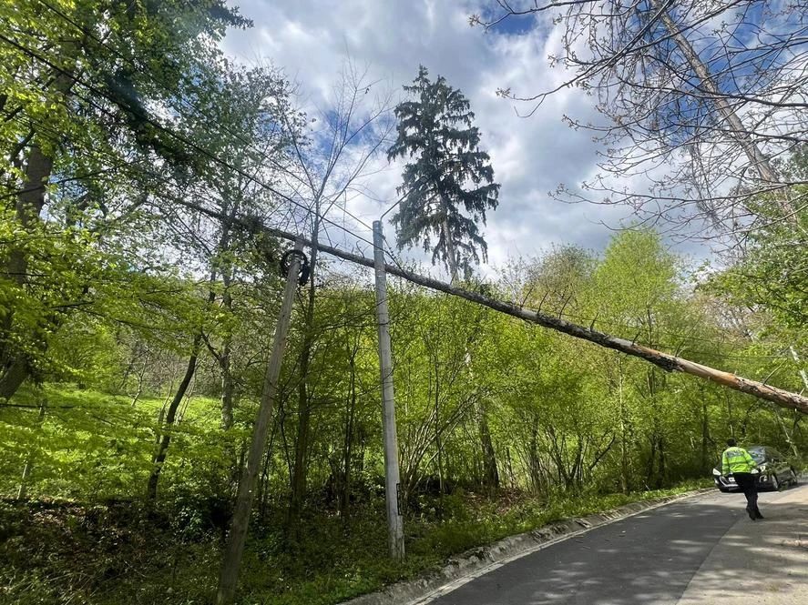 Furtuni în România