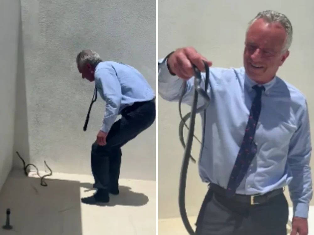 Robert F. Kennedy Jr. a prins doi șerpi cu mâna