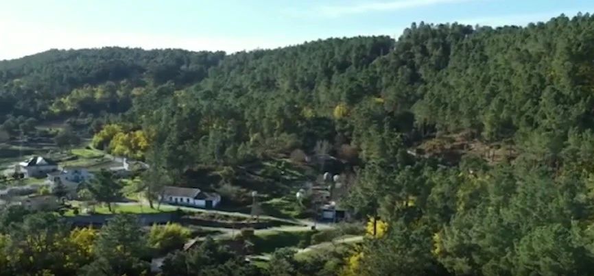 Terenuri în Spania