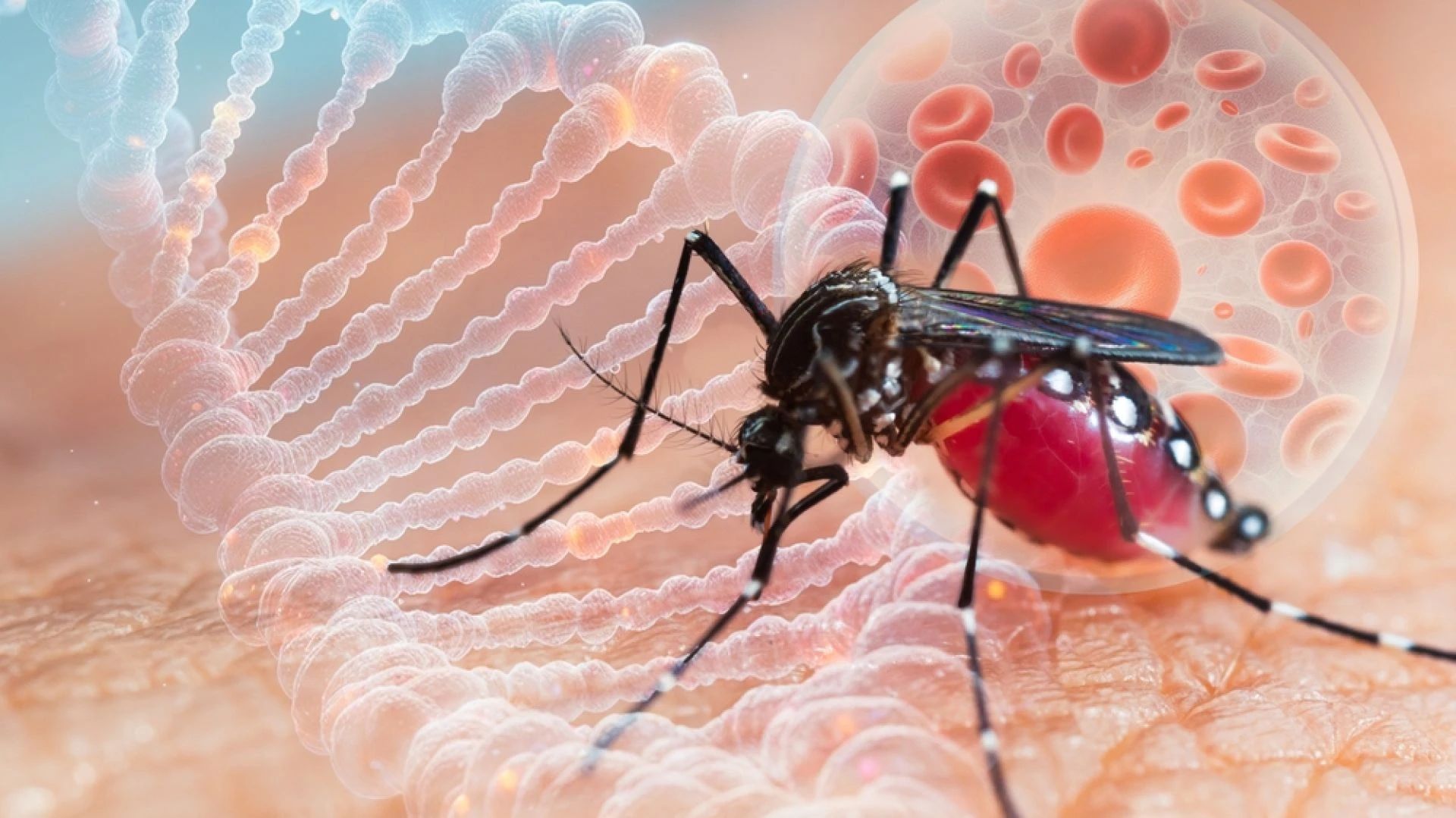 Virusul chikungunya