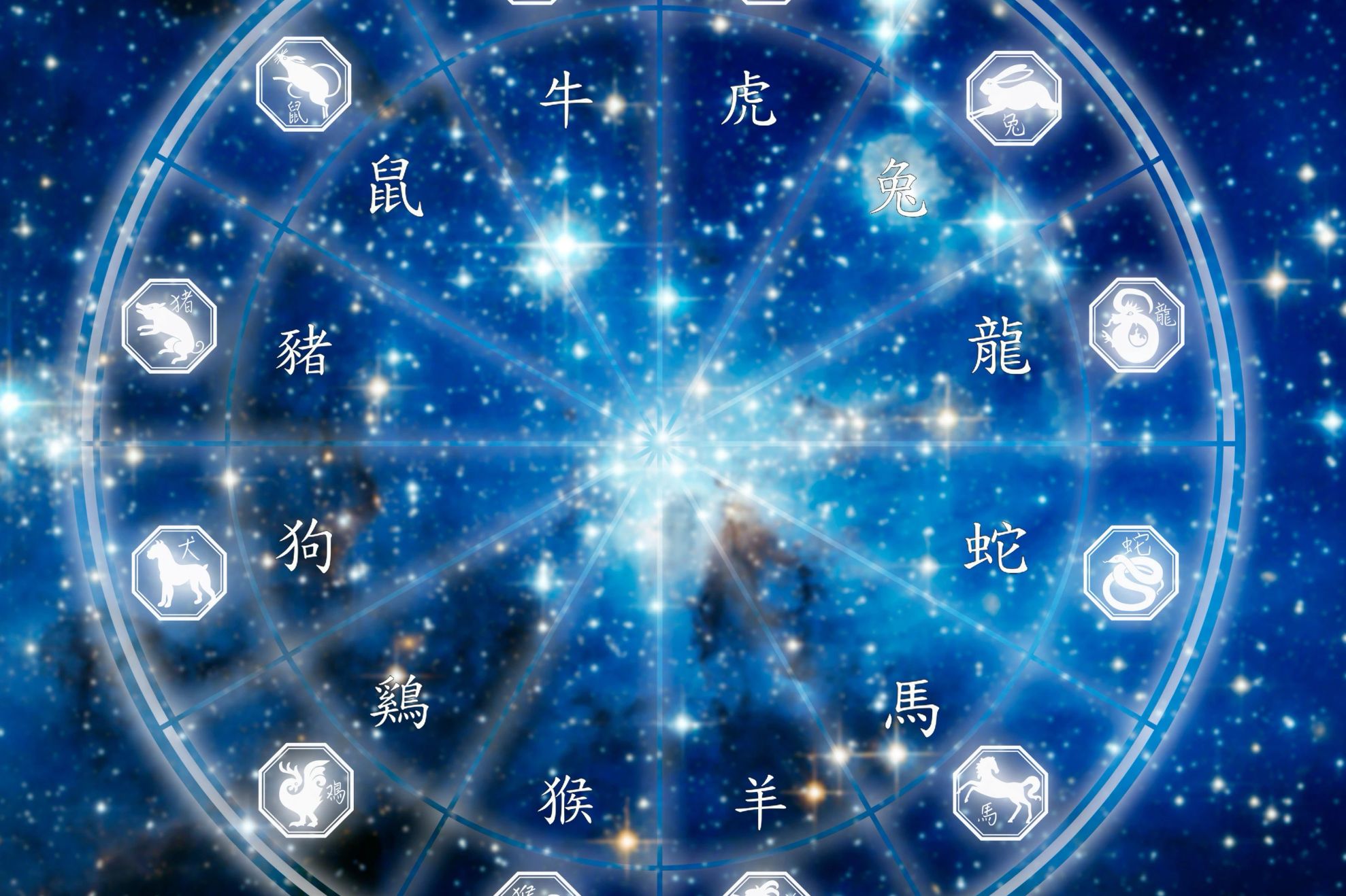 Zodiac chinezesc/ Profimedia