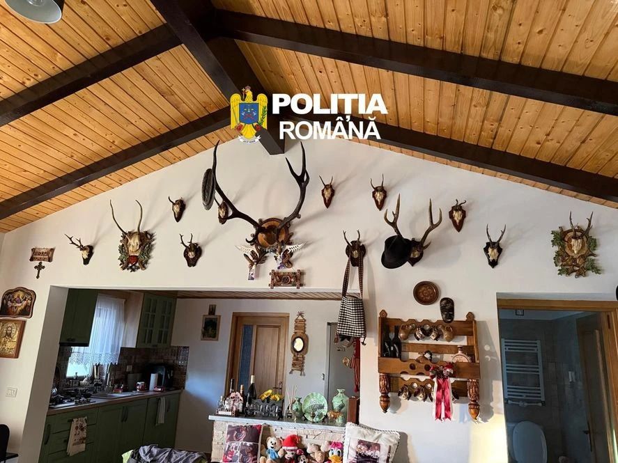 Percheziții în Suceava  