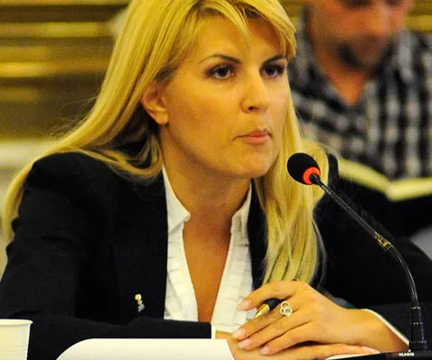 Elena Udrea îndeamnă românii să-şi petreacă concediile în ţară pe durata crizei economice