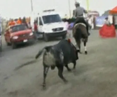 O femeie a fost lovită de un taur care urma să lupte într-o corrida