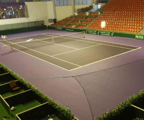 Tenis - Buget de 160.000 de euro pentru meciul de Cupa Davis dintre România şi Rusia