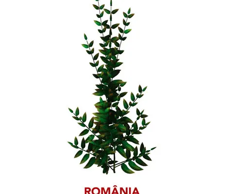 Realitatea TV reia programul "România prinde rădăcini"