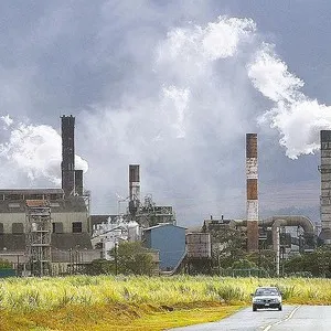 Greenpeace solicită Guvernului României oprirea proiectului reactoarelor 3 şi 4 de la Cernavodă