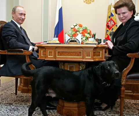 Câinele lui Putin a dat iama în delicatesele pregătite pentru şefii de partid