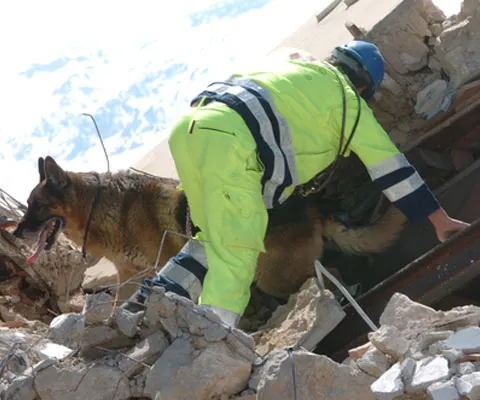 Circa 200 de replici s-au înregistrat după cutremurul din Italia