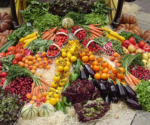Guvernul a aprobat codul de bune practici pentru comerţul cu produse agroalimentare