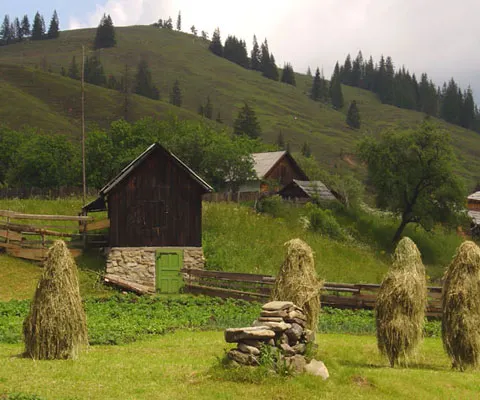 Unităţile de cazare etichetate ecologic ar putea beneficia de TVA de 9%