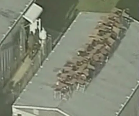 Cum au obţinut elevii din Florida o zi de vacanţă suplimentară aflaţi la REALITATEA pe NET