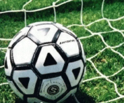 Liga I - Brigăzi de arbitri din Germania, Rusia şi Serbia la meciurile din etapa a 31-a