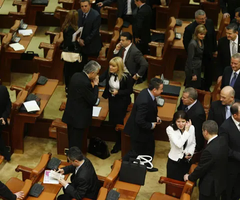 Liberalii vor decide în şedinţa grupului parlamentar dacă vor menţine moţiunea pe tema FMI