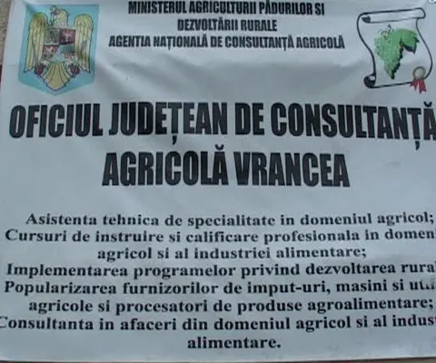 Unele instituţii subordonate Guvernului au câte doi directori, după contestarea demiterilor în instanţă