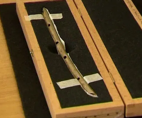 Arheologii au descoperit în Germania cel mai vechi instrument muzical din lume