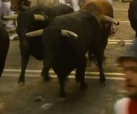Un tânăr a murit în timpul unei curse cu tauri, la festivalul de la Pamplona