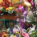 REALITATEA.NET MAGAZIN: Bambina - regina florăreselor din Bucureşti