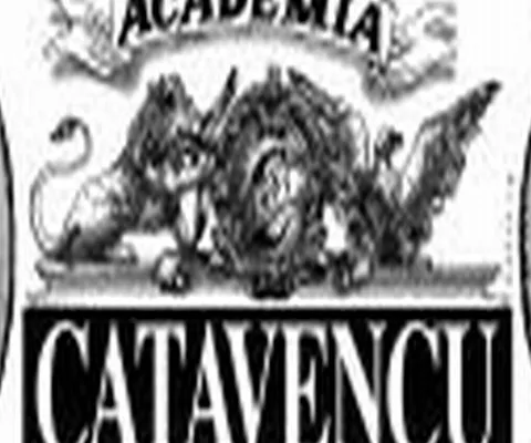 Academia Caţavencu: Publicitatea pentru Mazăre falimentează drumarii Primăriei Constanţa