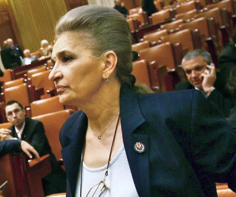 Aura Vasile susţine că PSD nu a boicotat şedinţa Biroului Permanent