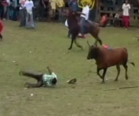 Un columbian a fost ucis de un taur în arenă în timpul unei Corraleja - ATENŢIE, IMAGINI ŞOCANTE!