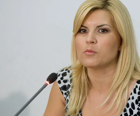 Elena Udrea: Ne întoarcem la treabă, lăsăm la o parte mascarada politică