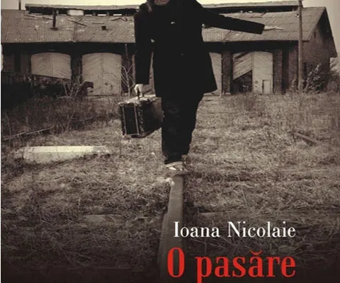 "O pasăre pe sârmă" de Ioana Nicolaie va fi tradus în italiană
