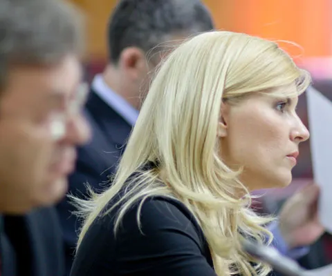 Elena Udrea la comisia de anchetă: S-a certat, a chemat liftul şi a plecat