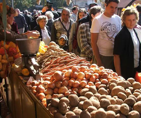 N. Ştefan, Agrostar: Agricultorii se pregătesc pentru proteste de stradă la finele lunii sepembrie