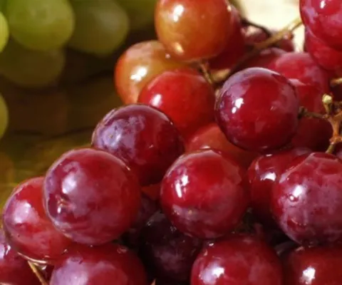 Viticultorii ameninţă cu proteste din cauza preţului scăzut al strugurilor
