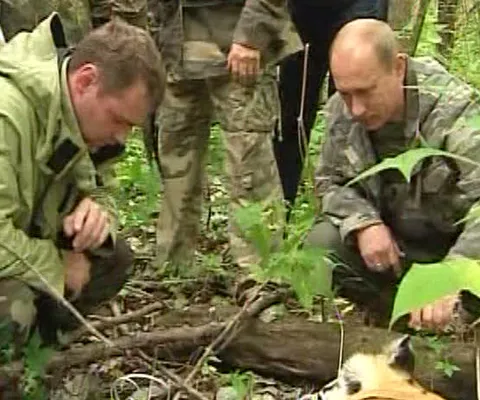 Vladimir Putin şi-a etalat curajul în faţa a doi leoparzi