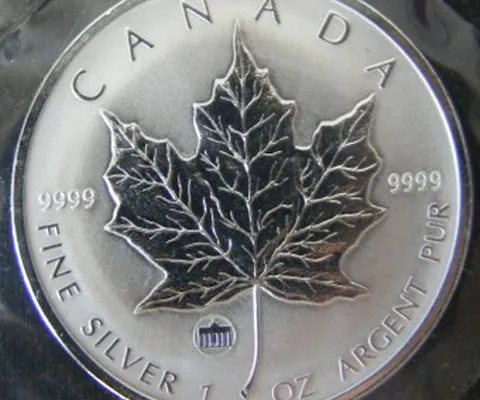 Canada, cea mai sigură destinaţie pentru investiţii