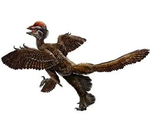 Pasărea dinozaur cu patru aripi, descoperită după 160 de milioane de ani