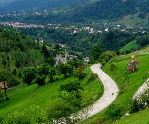 Guvernul alocă 123 milioane lei pentru proiecte de mediu ale autorităţilor locale