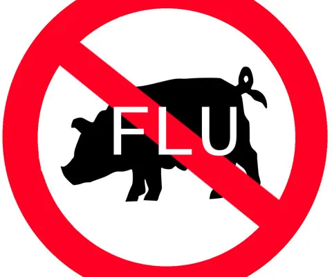 Uniunea Europeană recomandă statelor membre să nu lase garda jos în privinţa gripei porcine