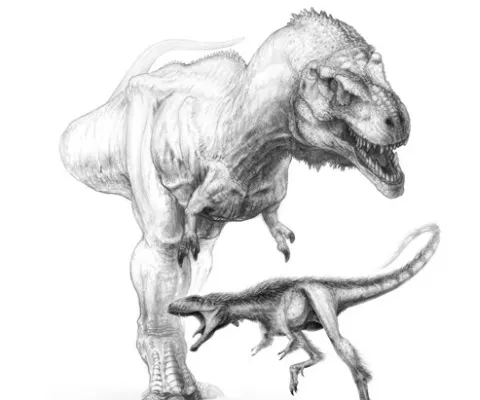 O treime din speciile cunoscute de dinozauri nu au existat niciodată
