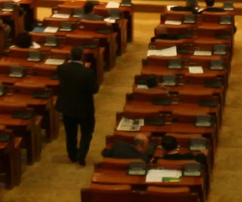Deputaţii Dan Păsat şi Marin Bobeş, excluşi din PNL şi PSD, s-au afiliat la grupul PD-L