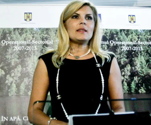 Elena Udrea l-a refuzat pe Lucian Croitoru pentru Traian Băsescu
