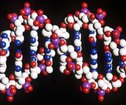 Justiţia italiană a redus pedeapsa unui criminal pentru că e "predispus genetic" la un comportament agresiv