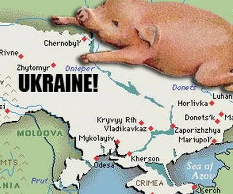 64 de persoane au murit în Ucraina din cauza gripei porcine şi a problemelor respiratorii